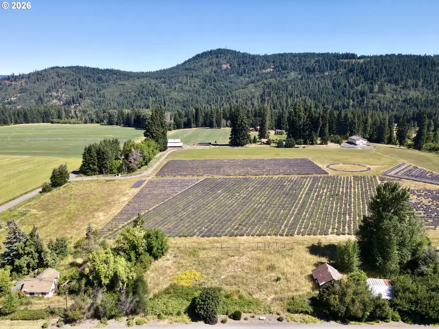 5985 Boneboro Rd, Dee, OR 97041 - #3