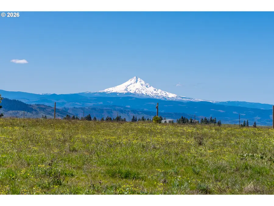 Morris Rd, Lyle, WA 98635 - #3
