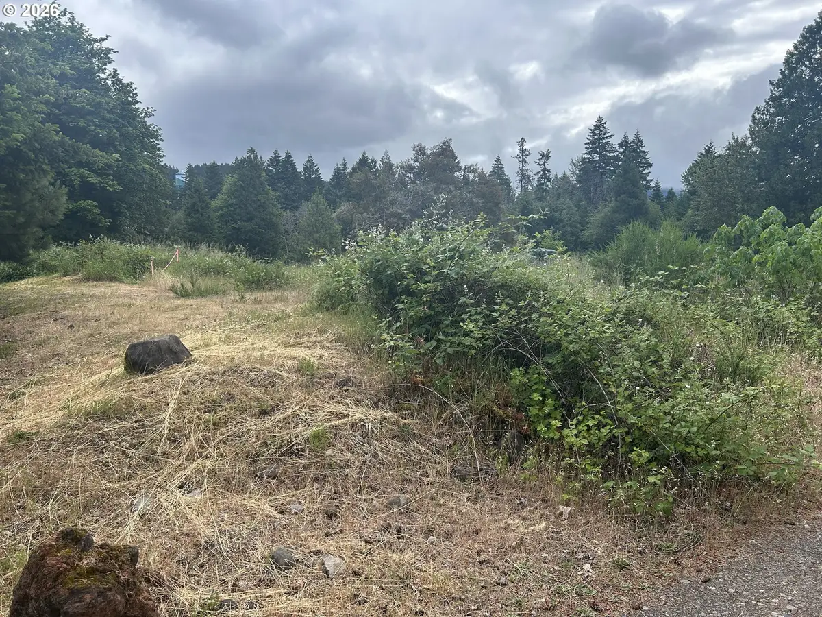 76161 Smolt Ln, Oakridge, OR 97463 - #1