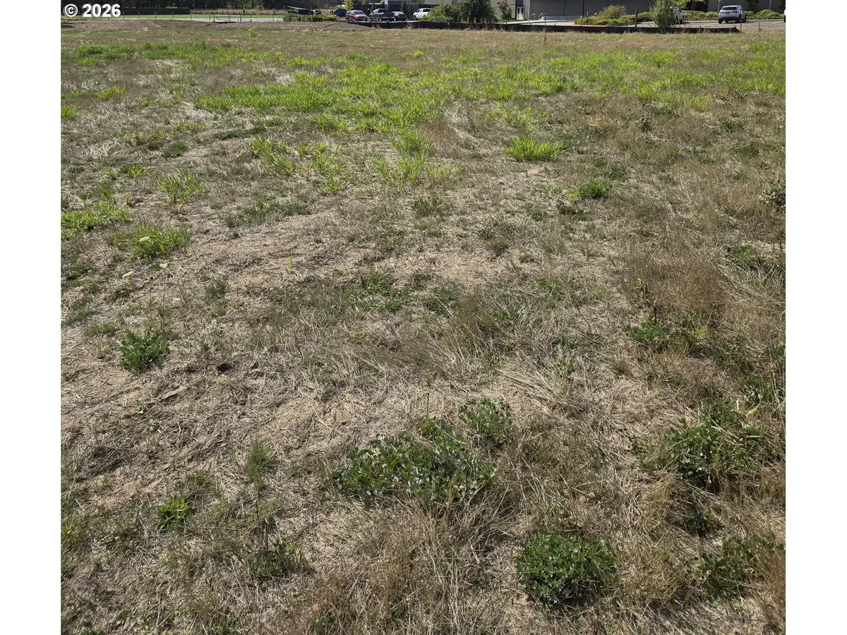 128 E Airedale Ave, La Center, WA 98629 - #1