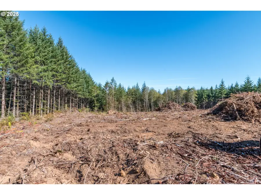 Hunter #A, Longview, WA 98632 - Image #3