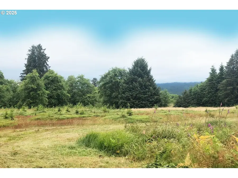 South Valley Rd #5, Naselle, WA 98638 - Image #2