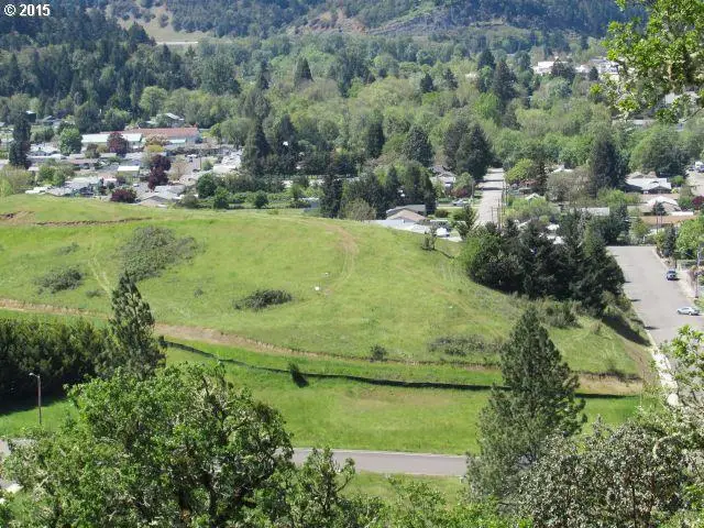 0 NE Simpson Ln, Myrtle Creek, OR 97457 - Image #2