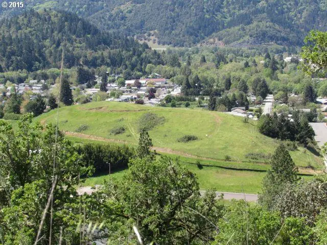 0 NE Simpson Ln, Myrtle Creek, OR 97457 - Image #3