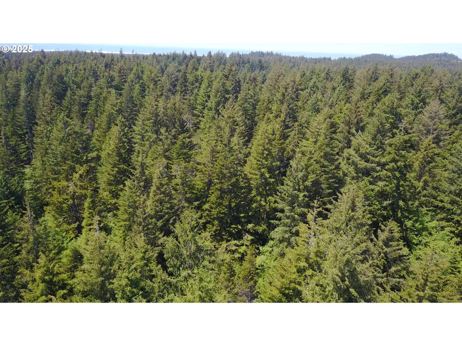 Alder Dr Tl 03300 Dr, Florence, OR 97439 - Image #2