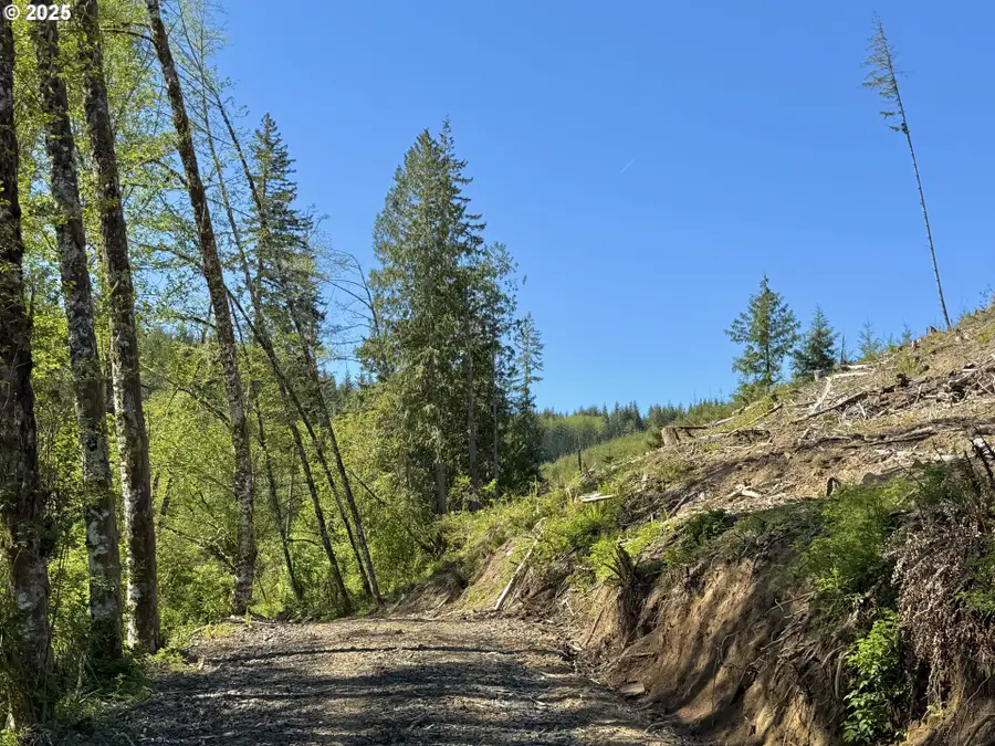 73000 Clatskanie Heights Rd, Clatskanie, OR 97016 - #3