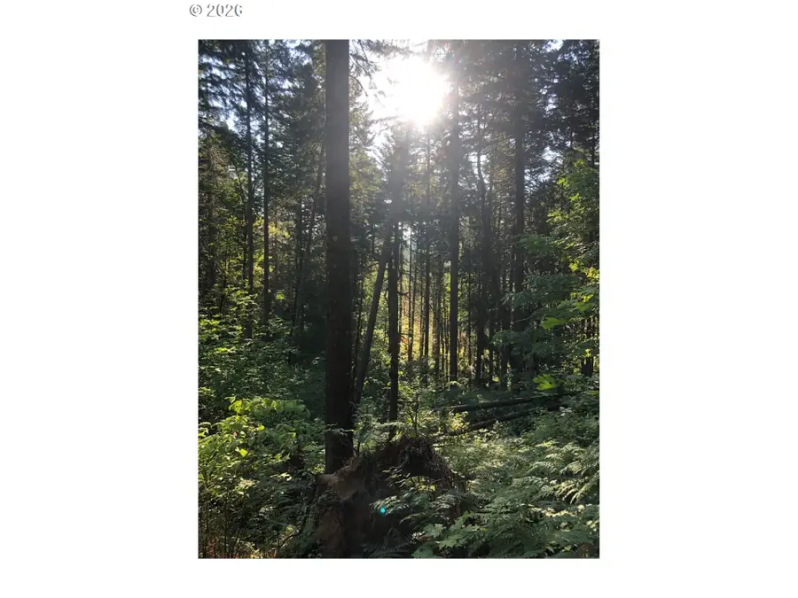 7091 Little Buck Creek Rd, Carson Underwood, WA 98672 - #3