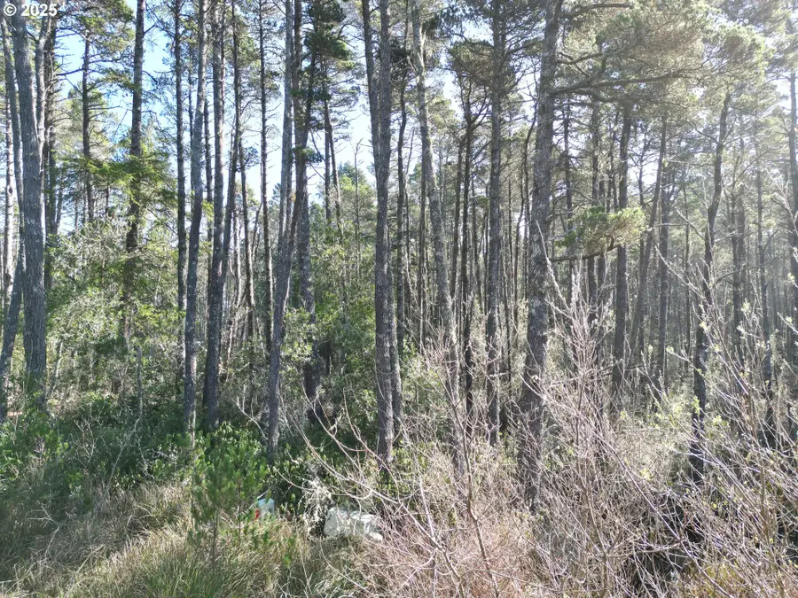 E Jupiter Ln #1202, Bandon, OR 97411 - Image #3