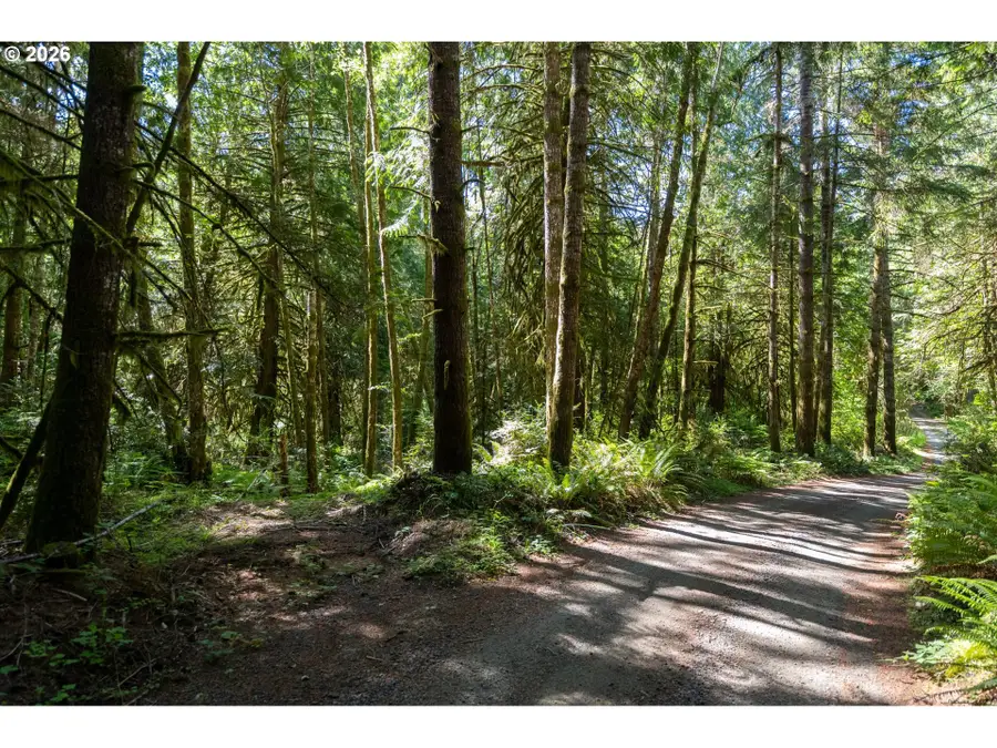 1781 E Sunset Hill Rd, Shelton, WA 98584 - #2