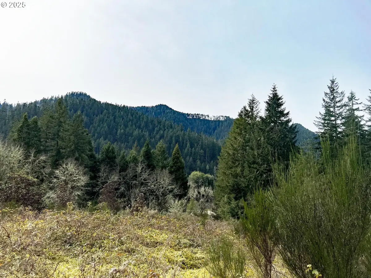 State Highway 138, Oakland, OR 97462 - Image #1