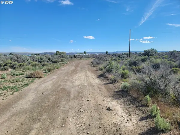 Elm Ln #1600, ChristmasValley, OR 97641