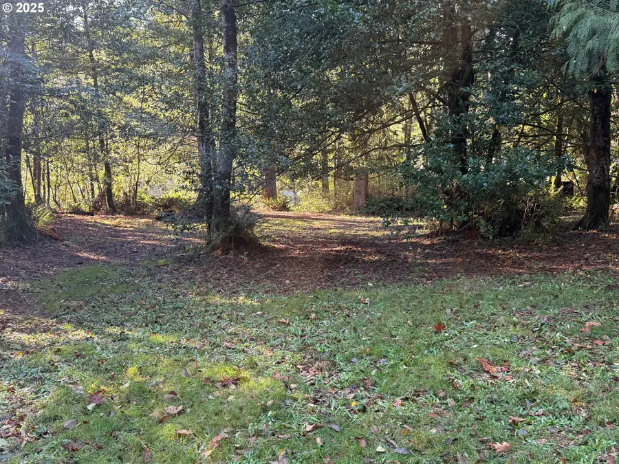 Tiernan Rd #100, Mapleton, OR 97453 - Image #2