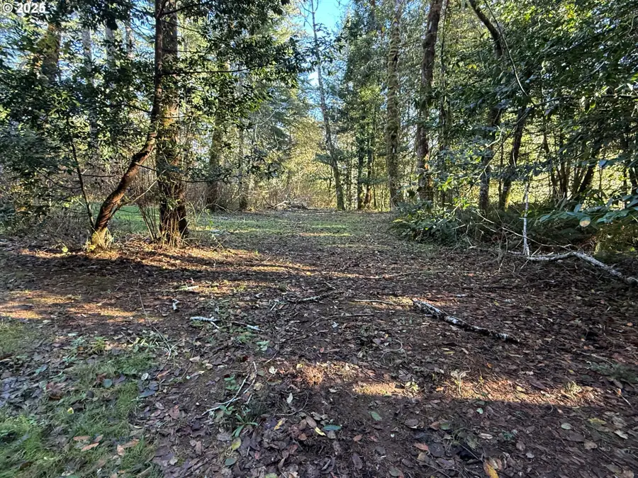 Tiernan Rd #100, Mapleton, OR 97453 - Image #3