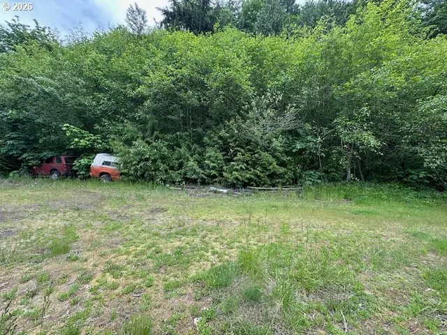 350 Serenity Ln, Kalama, WA 98625 - #3