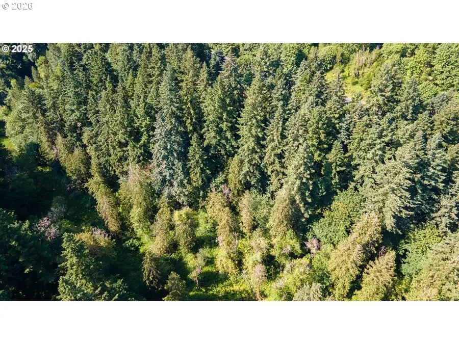 0000 NE 45th Ave, Vancouver, WA 98686 - Image #2