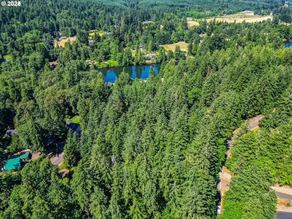 Bridge, Springfield, OR 97478