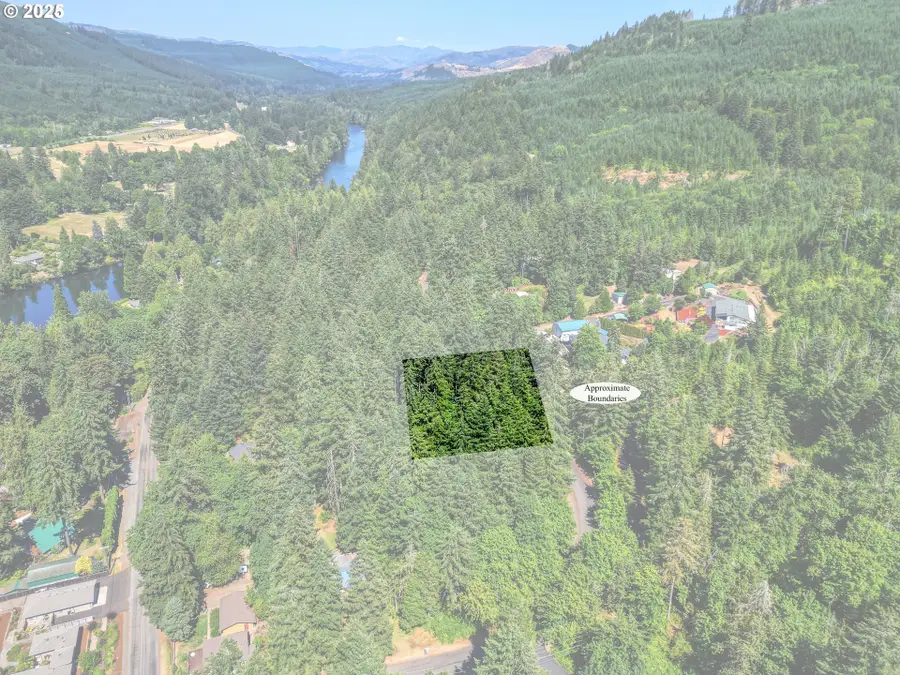 Bridge, Springfield, OR 97478 - Image #3