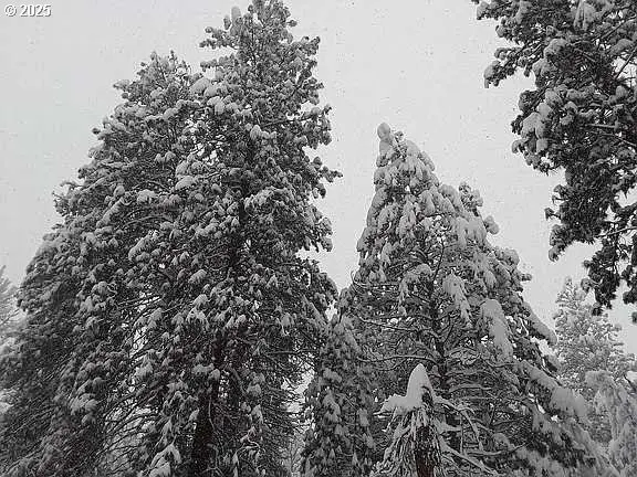 133 E Black Crater Ave, Sisters, OR 97759 - Image #3