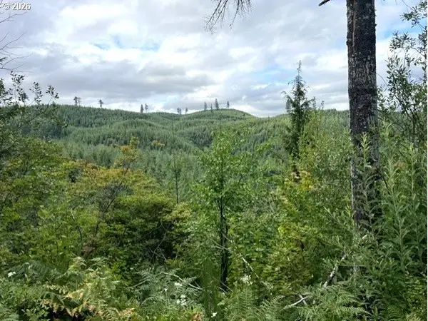 Forest Rd Off Timber, Timber, OR 97144