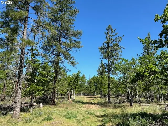 D Pine, Goldendale, WA 98620 - #3