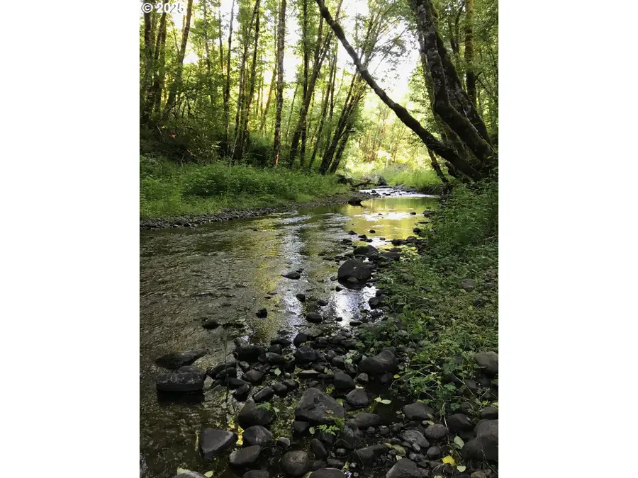 62941 NW Cochran Rd, Timber, OR 97144 - Image #2