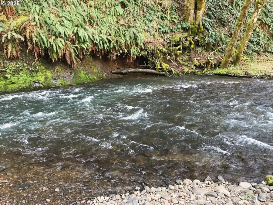 62941 NW Cochran Rd, Timber, OR 97144 - Image #3