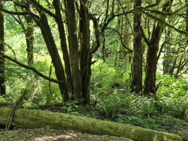 Middle Creek Rd. #700, MyrtlePoint, OR 97458