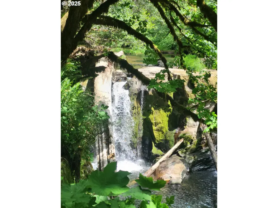 Middle Creek Rd. #700, Eastside, OR 97458 - Image #2