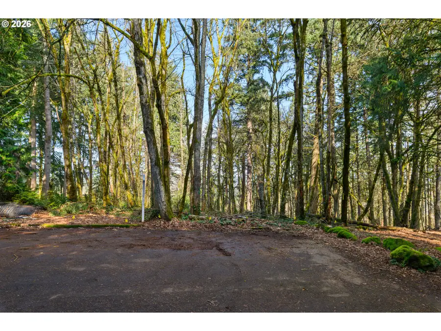 1115 Larch St, Lake Oswego, OR 97034 - #3