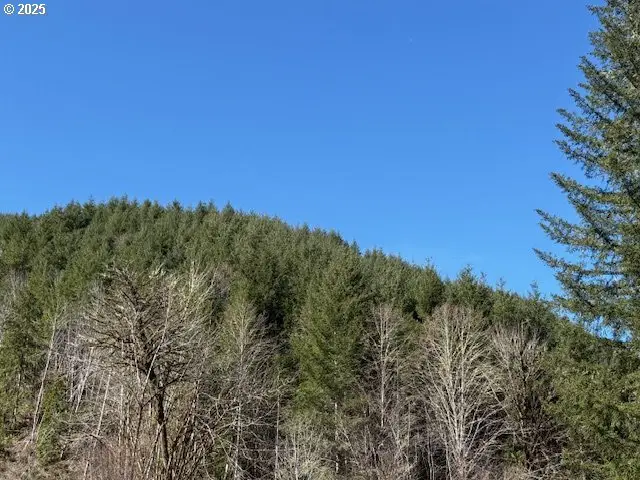 000 Logsden Rd, Blodgett, OR 97326 - Image #2