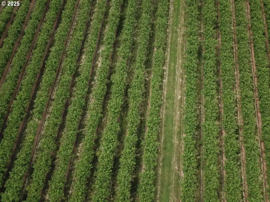 0 Lardon Rd Ne, Salem, OR 97305 - Image #3