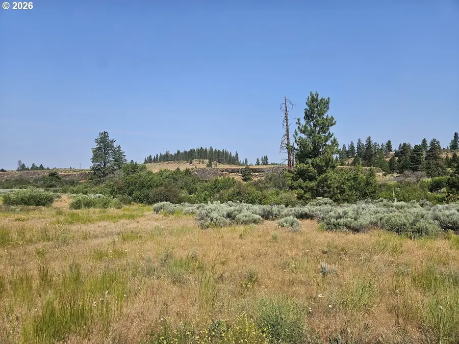 Olson Rd, Goldendale, WA 98620 - Image #3