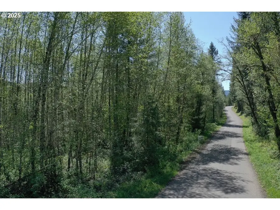 0 NE Elliott Rd #65, Yacolt, WA 98675 - Image #3