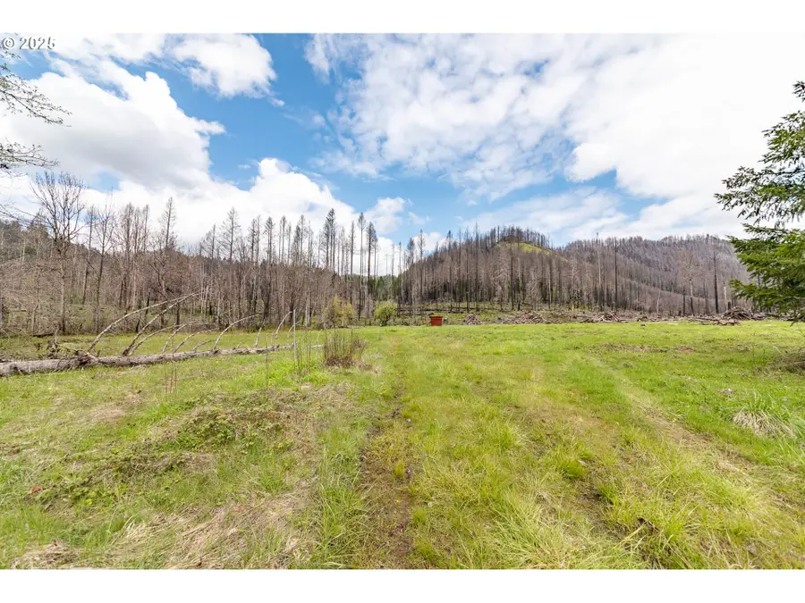 91747 Blue River Reservoir Rd, McKenzie River, OR 97413 - Image #2