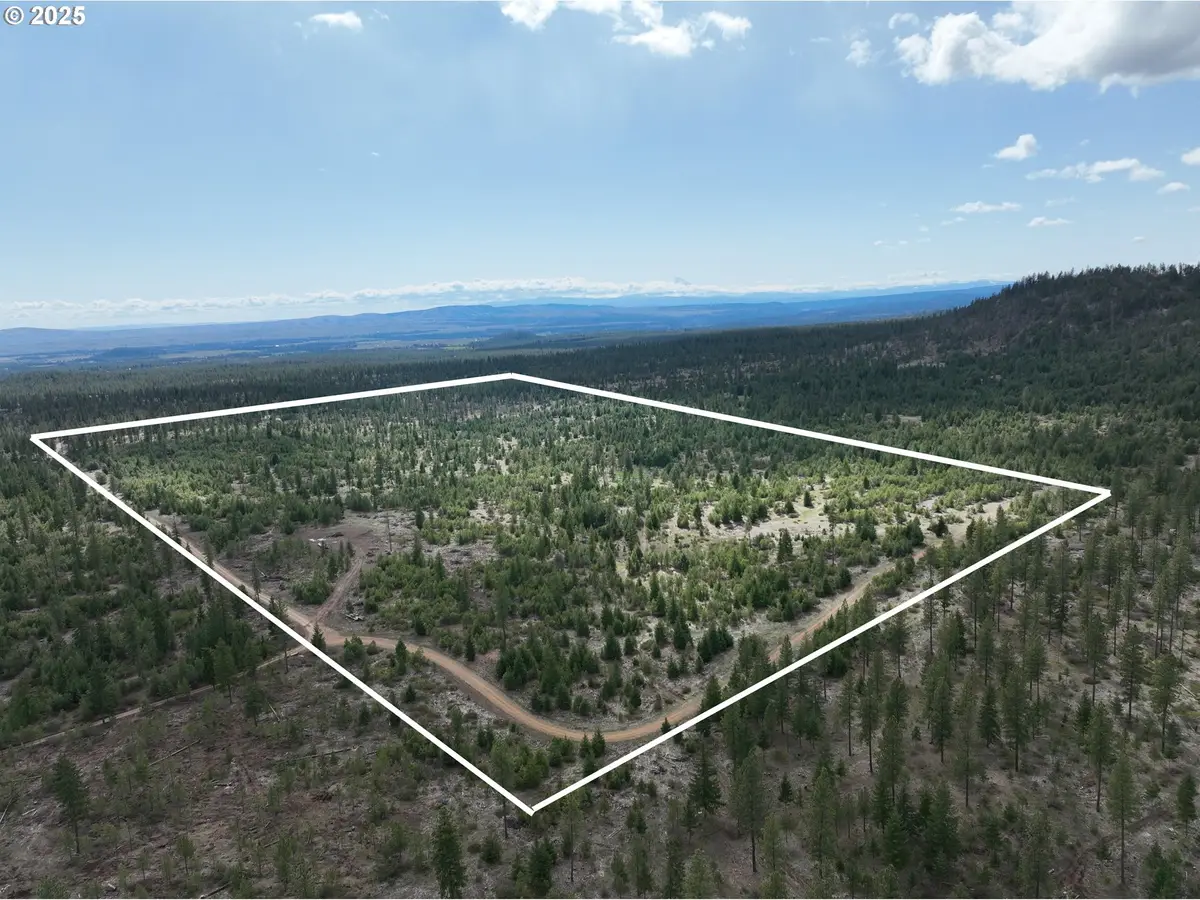 85 Mule Run Rd, Goldendale, WA 98620 - Image #1