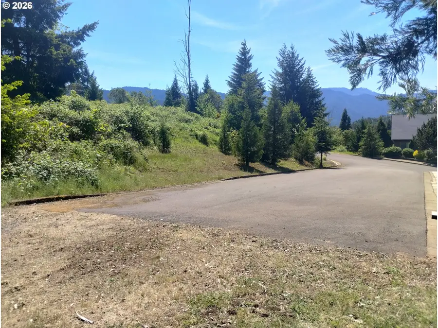 48522 Six Point Dr, Oakridge, OR 97463 - #3