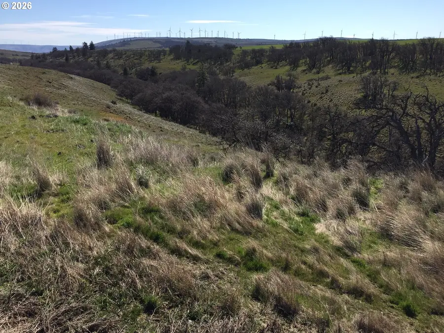 30 Jack Frost Way, Goldendale, WA 98620 - #2