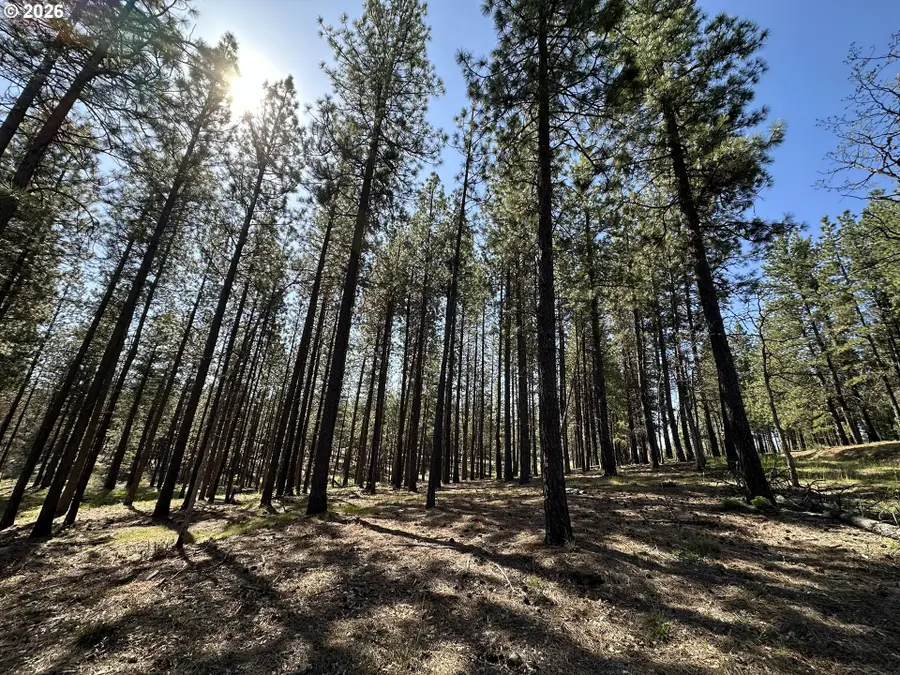 495 Mcnickols Rd, Goldendale, WA 98620 - #2