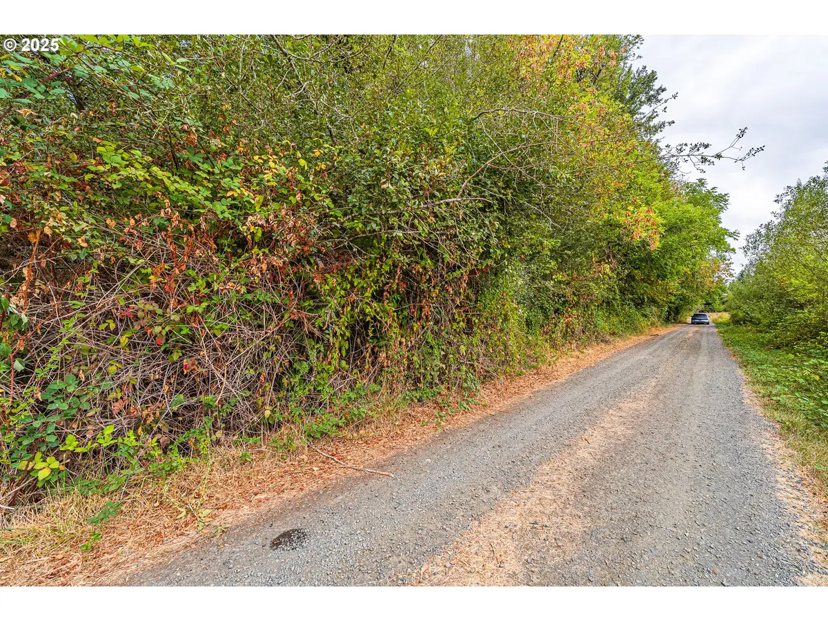 B St, Eugene Springfield, OR 97409 - Image #1