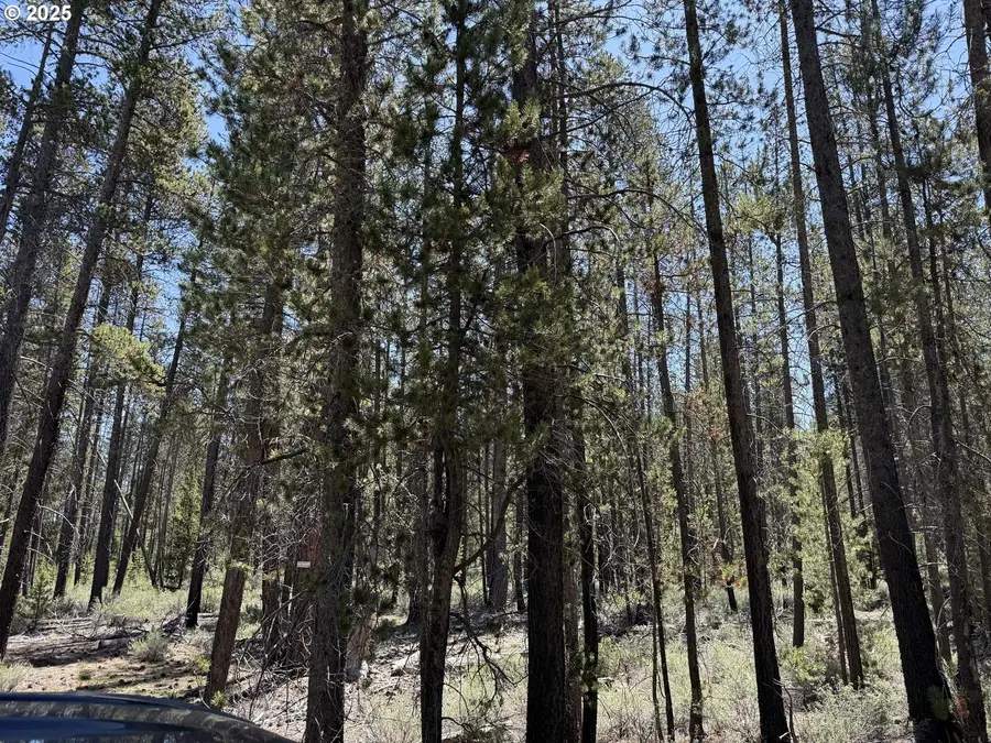 Off Nf 9768 #TL 300, Crescent, OR 97733 - Image #3