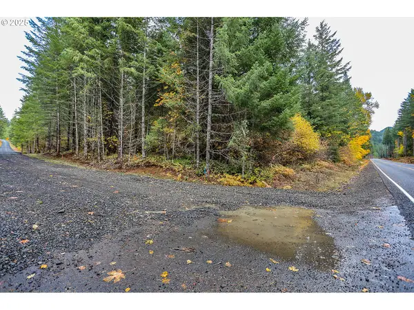 42 Hawk Meadows Rd, Carson, WA 98610