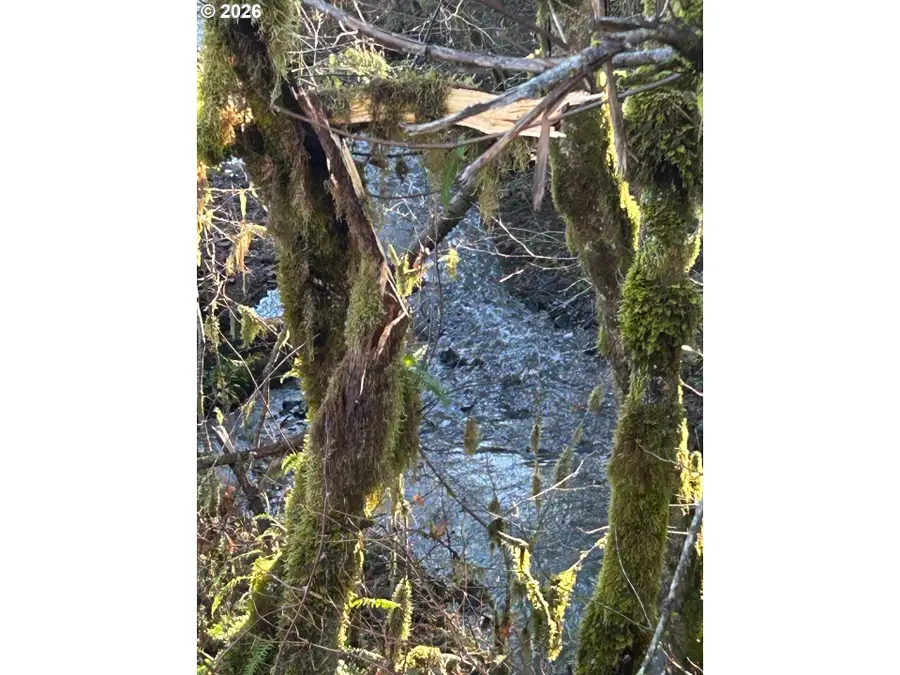 Rock Creek Rd #1, Sheridan, OR 97378 - Image #3