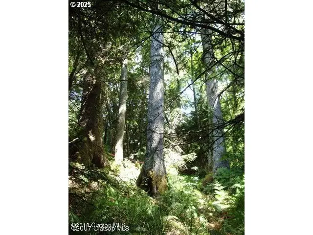 Birch St, Cannon Beach, OR 97110 - Image #1