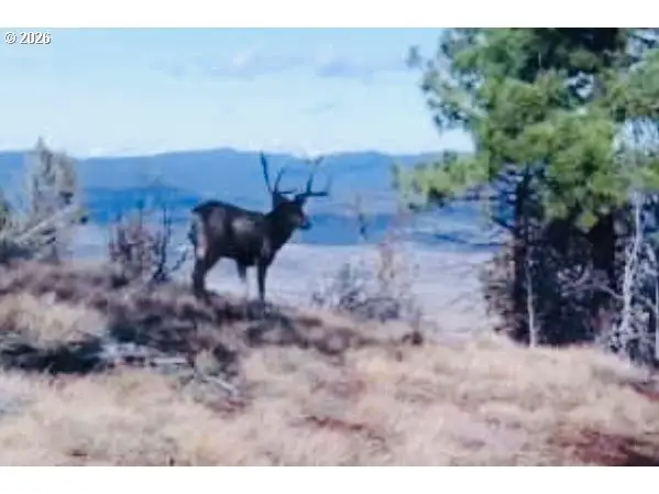 Fs Rd 613, JohnDay, OR 97845