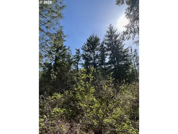 Pot Hole, Goldendale, WA 98620