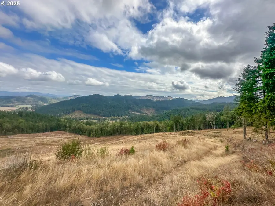 584 Buzz Mountain Ln, Roseburg, OR 97471 - #2