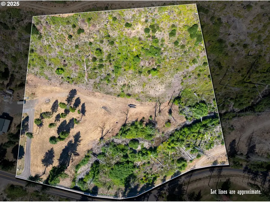 Blue River Rd, McKenzie River, OR 97413 - Image #3