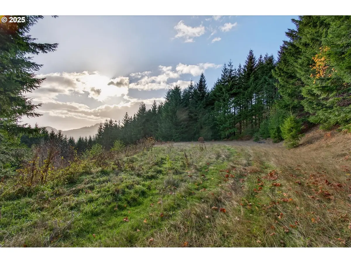 0 Knightsbridge Rd, Amboy, WA 98601 - Image #1