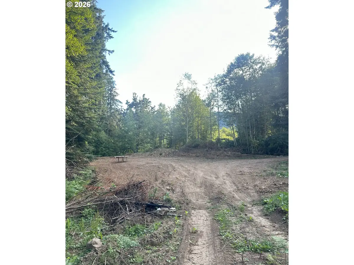 00 Thompson Dr, Washougal, WA 98671 - #1