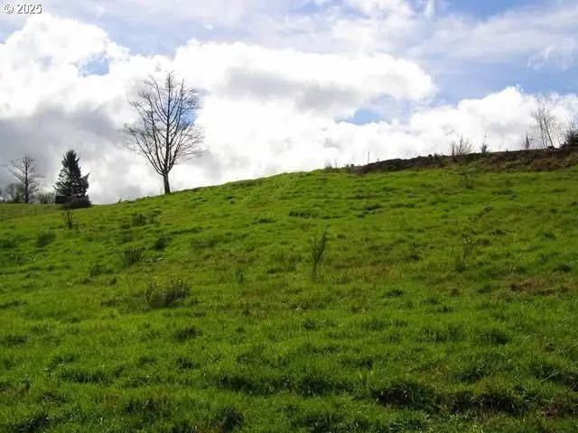 Skyview, Tillamook, OR 97141 - #3